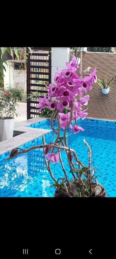 Riverlife Homestay Хойан Экстерьер фото