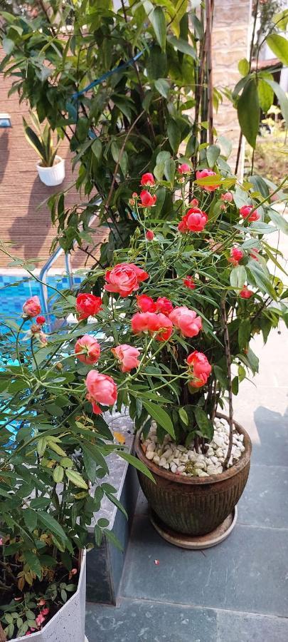 Riverlife Homestay Хойан Экстерьер фото